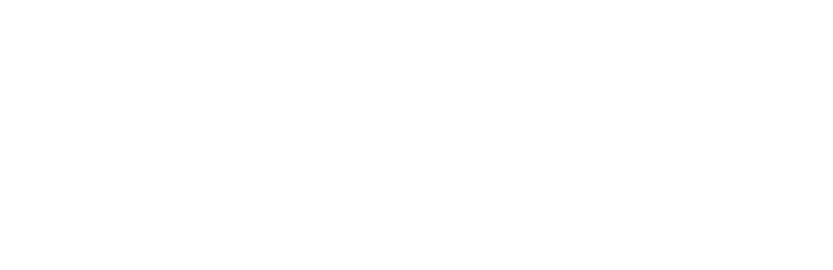 Elevator Boys Logo